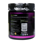 پودر bcaa دکتر سان وزن 300 گرم - Image 2