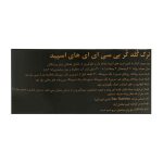 پودر بی سی ای ای ترک نوتریشن مدل های اسپید گلد کر لاین 600 گرم با طعم پرتقال انبه - Image 3