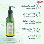 ژل شستشو صورت دیپ سنس حاوی عصاره درخت چای و بامبو مناسب پوست چرب حجم 250 میلی لیتر - Image 2