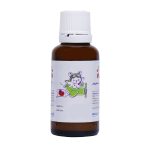 قطره مکمل کودک عبیدی مدل Ferro Fort حجم 30 میلی لیتر
