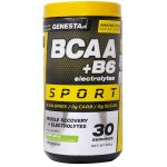 پودر ژن استار مدل BCAA + B6  با طمع سیب سبز وزن 420 گرم