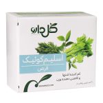 قرص گل دارو مدل Slim Quick بسته 30 عددی